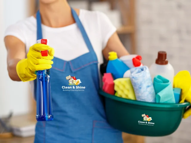 Apartment Therapy Mom Wisdom on… Taking Care of Your Home