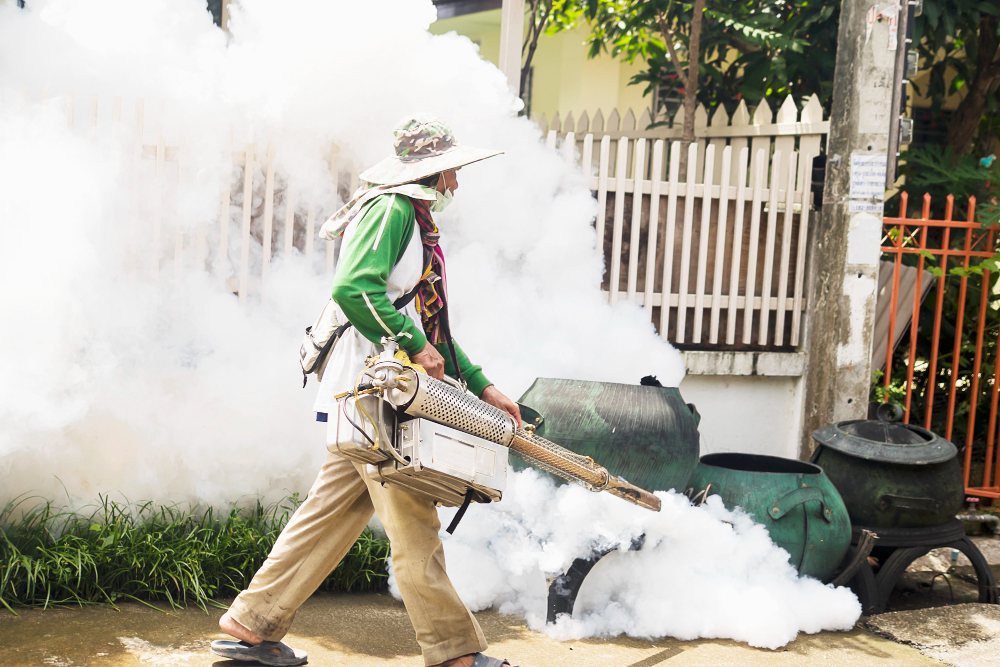 Mosquito Pest Control Cost in Dubai
