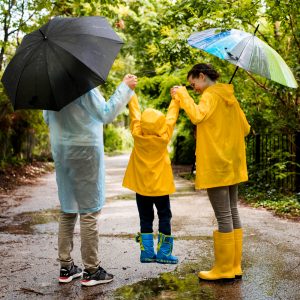 13 Steps Post-Rain Cleanup Guide